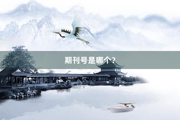 期刊号是哪个？